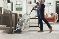 Kangaroo Carpet Cleaning Brisbane image 3